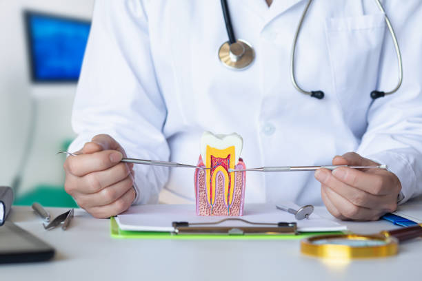Best Emergency Dentist for Knocked-Out Tooth in Indian Mountain Lake, PA